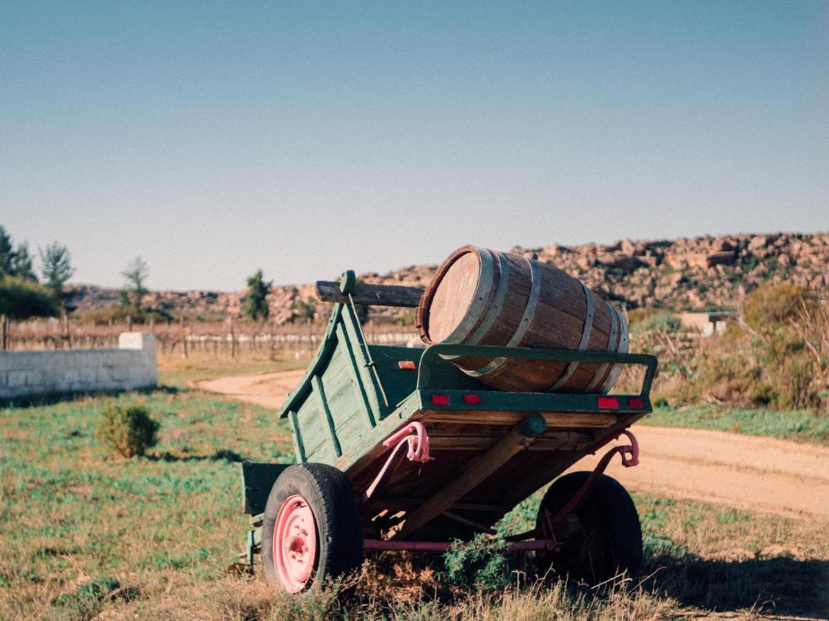 Вилла Alpha Excelsior Guest Farm Клануильям Экстерьер фото