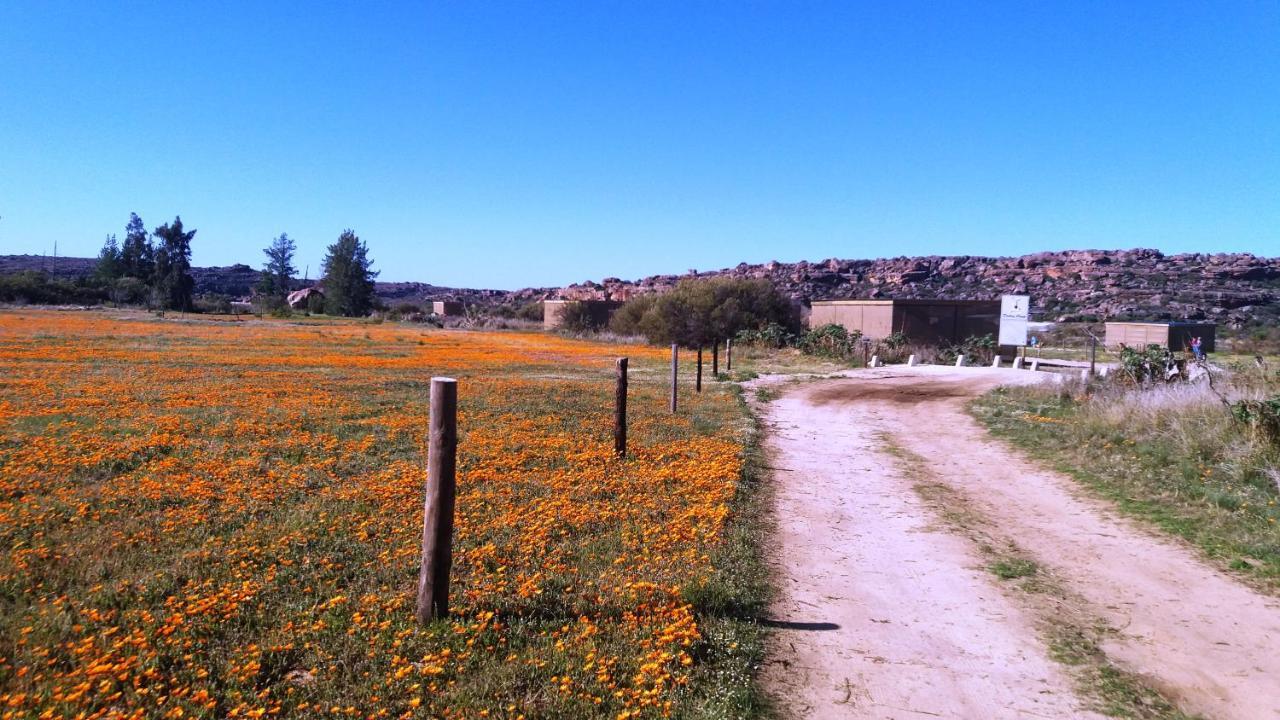 Вилла Alpha Excelsior Guest Farm Клануильям Экстерьер фото
