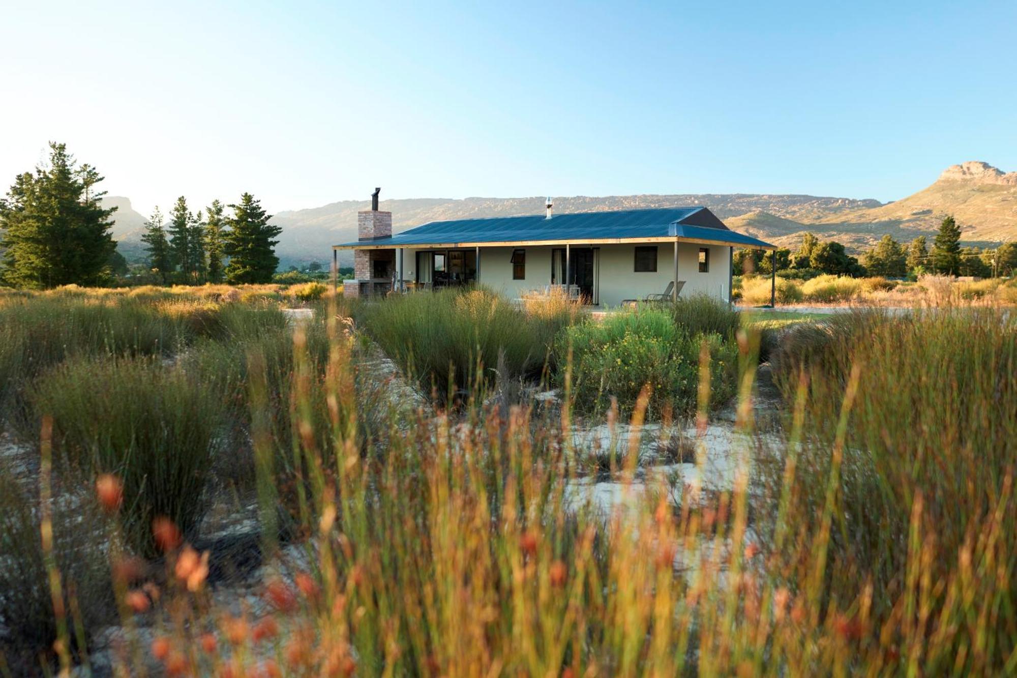 Вилла Alpha Excelsior Guest Farm Клануильям Экстерьер фото